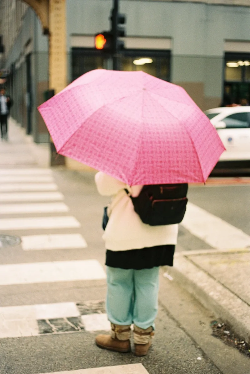 Pause at the Crossing